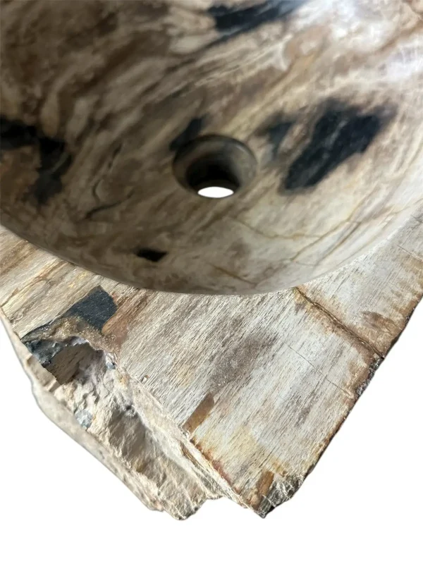 Petrified wood sink- unique natural art No. FS00257