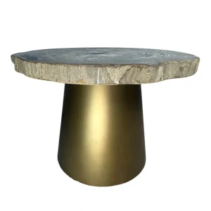 Petrified wood coffee table with natural fossilized top and golden base.