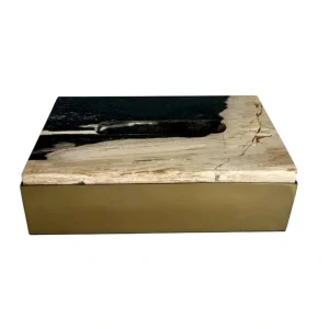 Handmade petrified wood tissue box holder with polished natural fossil top and smooth base.