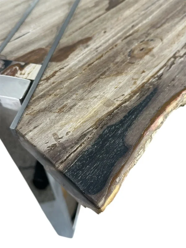 Premium petrified wood dining table – unique natural design Art. No. DNT00312