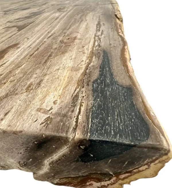 Premium petrified wood dining table – unique natural design Art. No. DNT00312