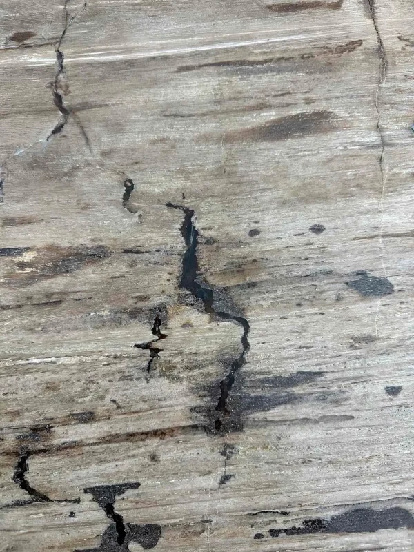 Premium petrified wood dining table – unique natural design Art. No. DNT00312