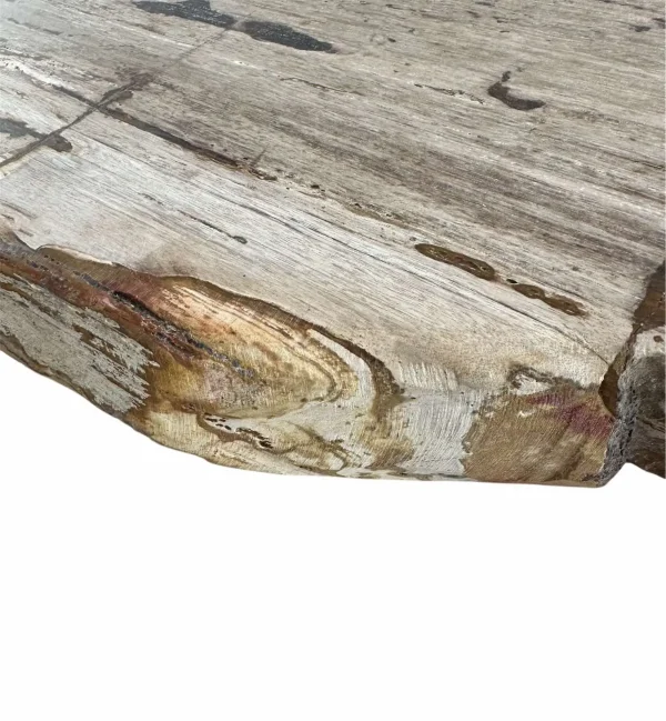 Premium petrified wood dining table – unique natural design Art. No. DNT00312