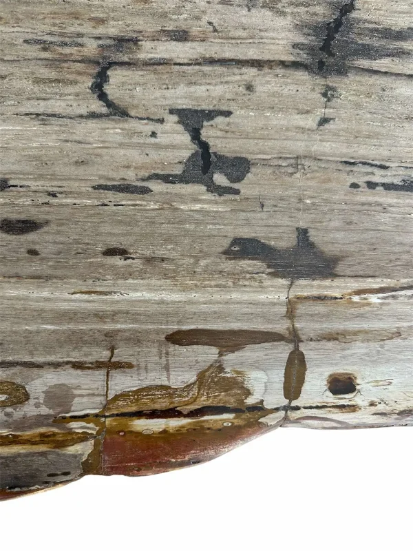 Premium petrified wood dining table – unique natural design Art. No. DNT00312