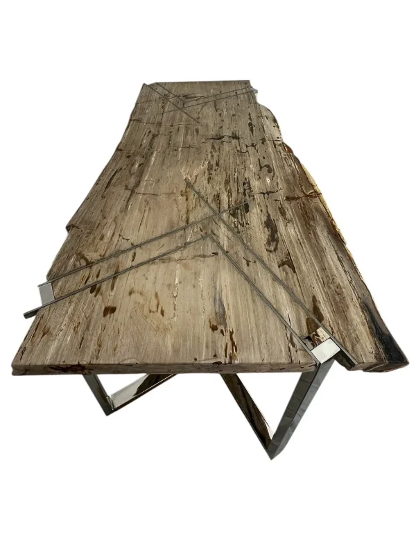 Premium petrified wood dining table – unique natural design Art. No. DNT00312