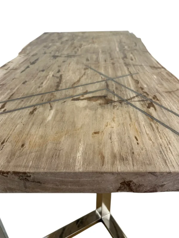 Premium petrified wood dining table – unique natural design Art. No. DNT00312