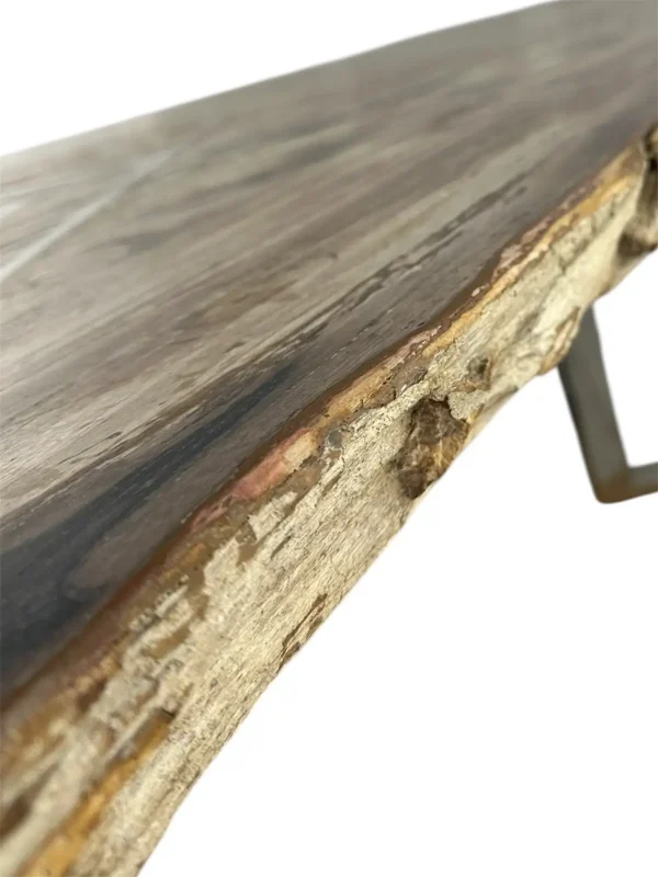 Premium petrified wood dining table – unique natural design Art. No. DNT00312