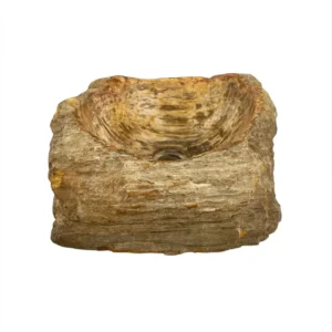 Hand-carved petrified wood wash basin with natural rustic exterior and smooth polished interior.
