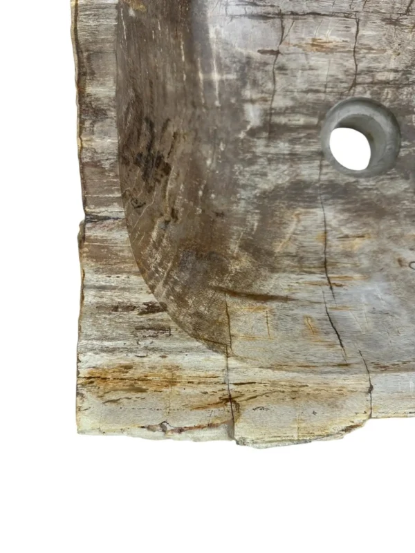 Petrified wood sink- unique natural art No. FS00477