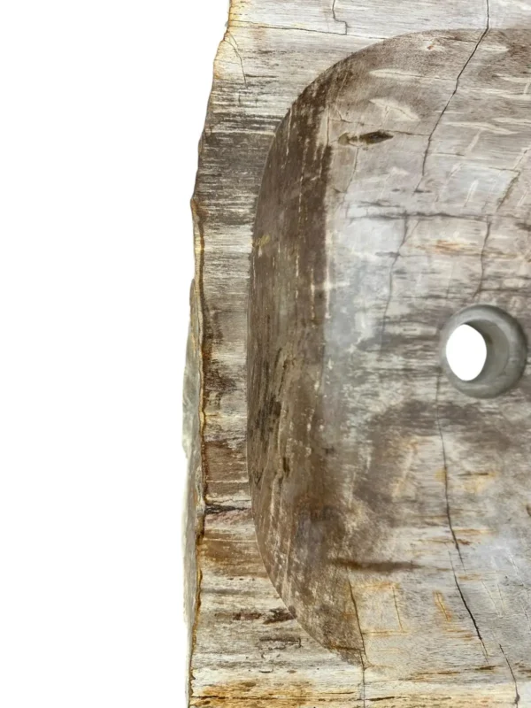 Petrified wood sink- unique natural art No. FS00477
