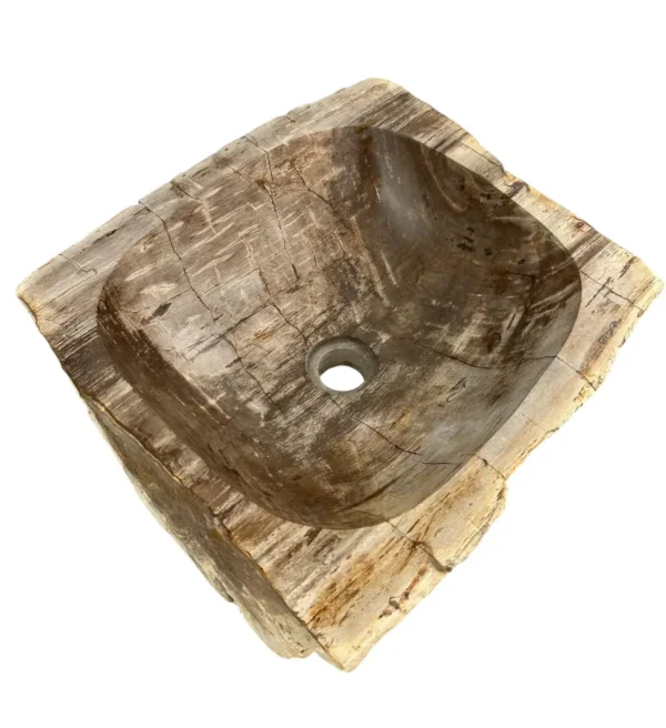 Petrified wood sink- unique natural art No. FS00477
