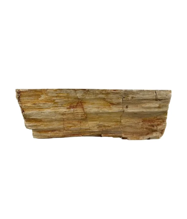 Petrified wood sink- unique natural art No. FS00477