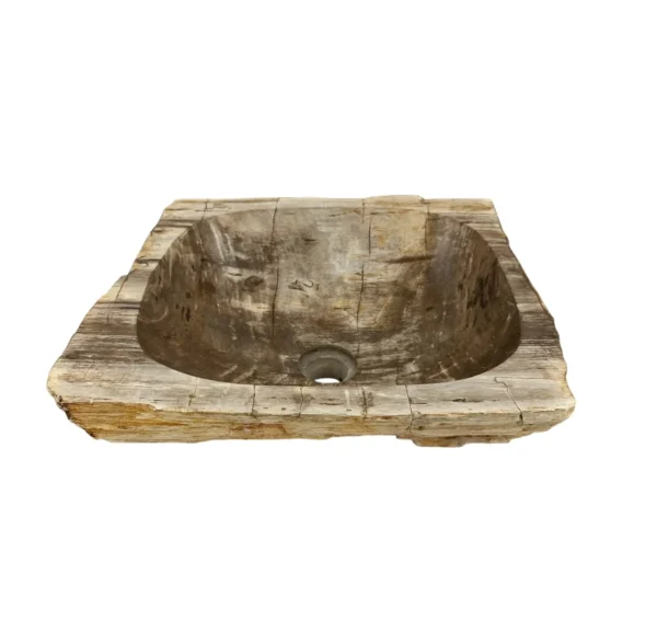 Petrified wood sink- unique natural art No. FS00477