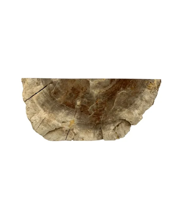 Petrified wood sink- unique natural art No. FS00477