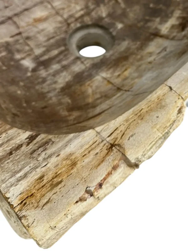 Petrified wood sink- unique natural art No. FS00477