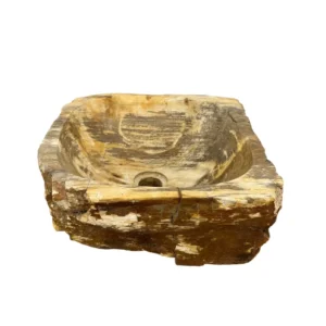 Hand-carved petrified wood wash basin with natural rustic exterior and smooth polished interior.