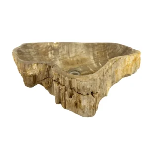 Hand-carved petrified wood wash basin with natural rustic exterior and smooth polished interior.