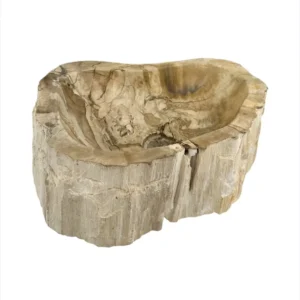 Hand-carved petrified wood wash basin with natural rustic exterior and smooth polished interior.
