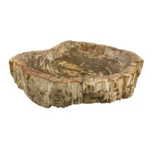 Hand-carved petrified wood wash basin with natural rustic exterior and smooth polished interior.